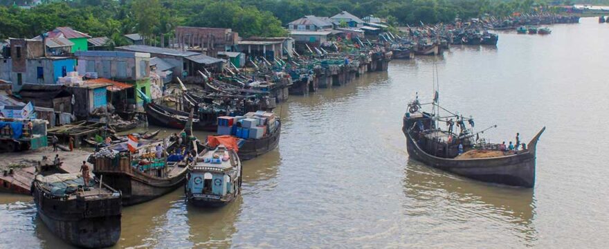 alipur fish market