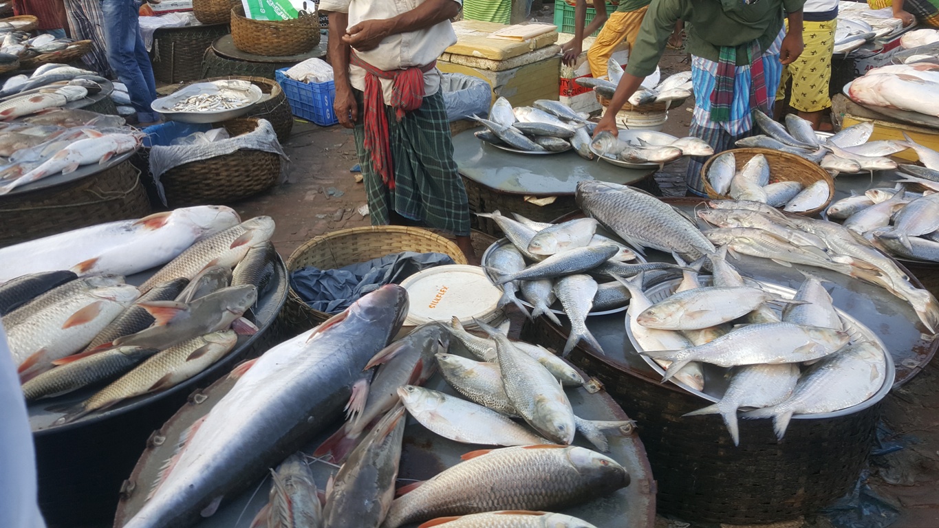 alipur fish market