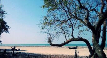 লেবুর চর,কুয়াকাটা