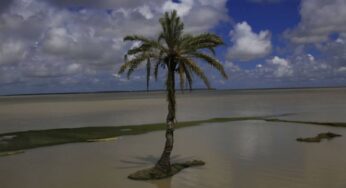 আকর্ষণীয় মনপুরা দ্বীপ