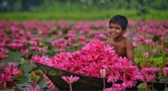 স্বপ্নিল জলাভূমি ডিবির হাওর