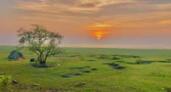 প্রাকৃতিক সৌন্দর্যে ভরপুর দ্বীপ চর কুকরি মুকরি