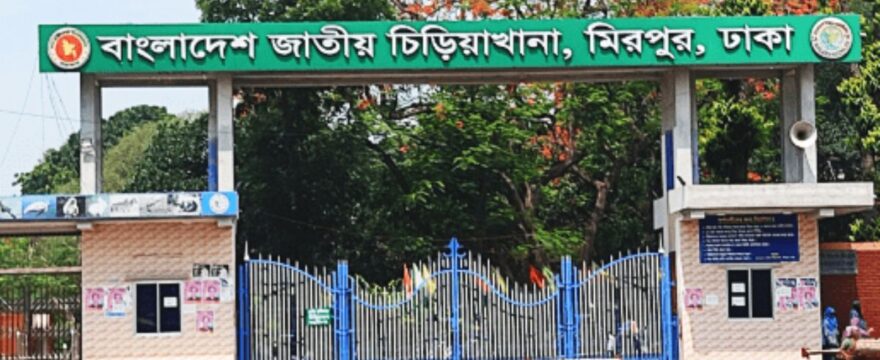 bangladesh-national-zoo
