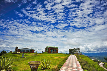 nilgiri