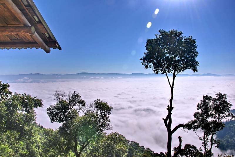 nilgiri